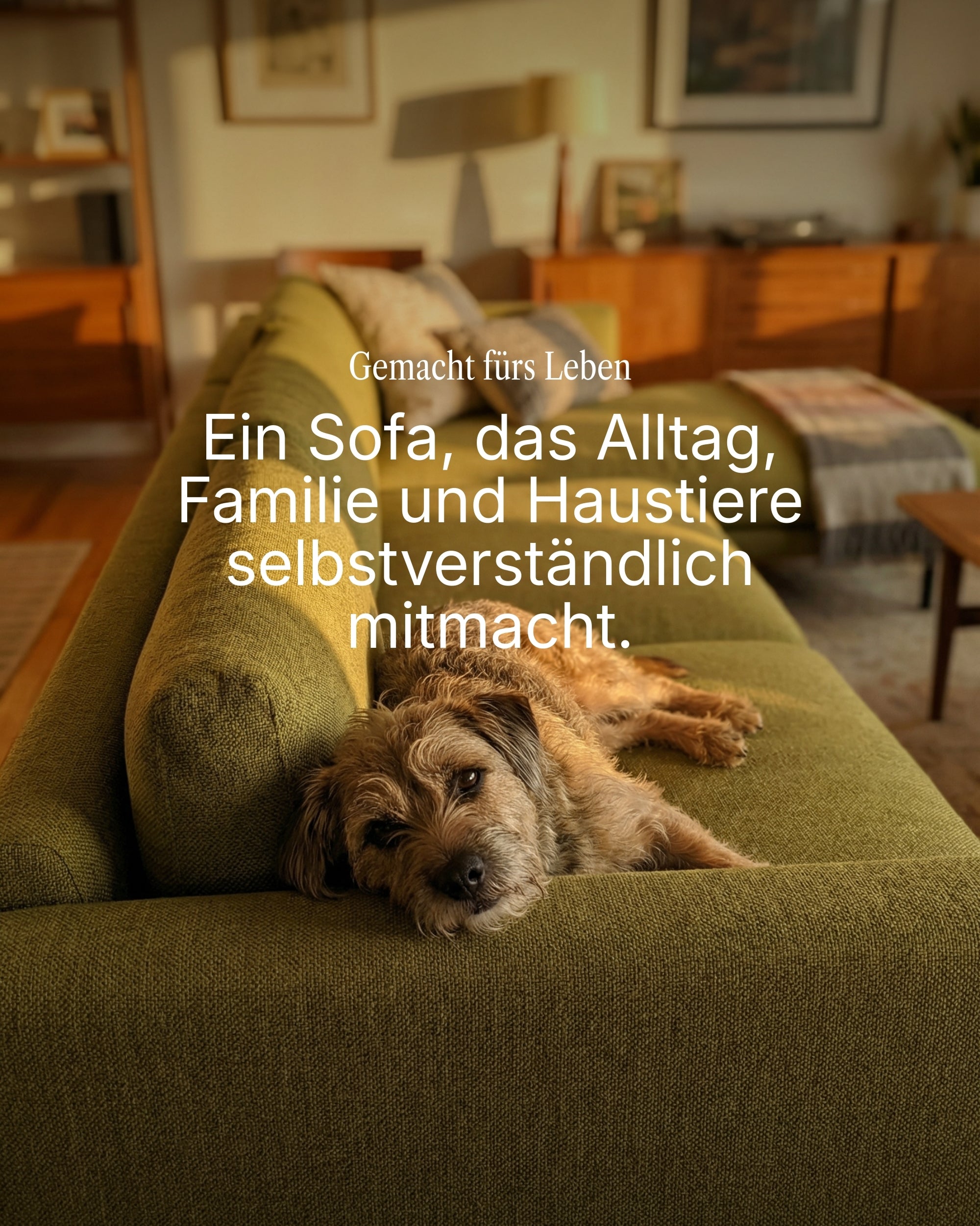 Modular sofa Aera 2-seater