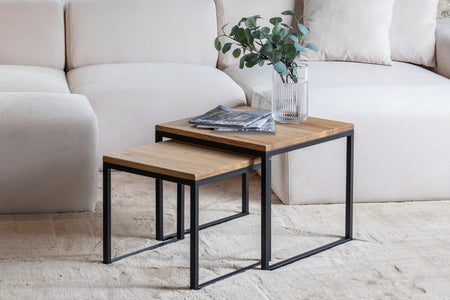 Noah coffee table 